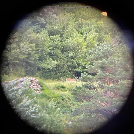 Apartment Calmfranc Atico Abuhardillado Con Vistas Al Rio Y La Montana Avistamiento De Ciervos En Pueblo