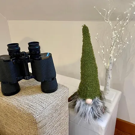 Calmfranc Atico Abuhardillado Con Vistas Al Rio Y La Montana Avistamiento De Ciervos En Pueblo Canfranc