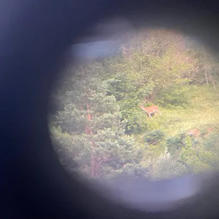 Calmfranc Atico Abuhardillado Con Vistas Al Rio Y La Montana Avistamiento De Ciervos En Pueblo Apartman