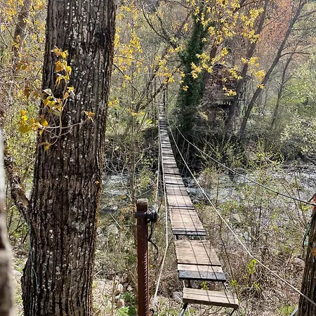 Calmfranc Atico Abuhardillado Con Vistas Al Rio Y La Montana Avistamiento De Ciervos En Pueblo Apartment Canfranc