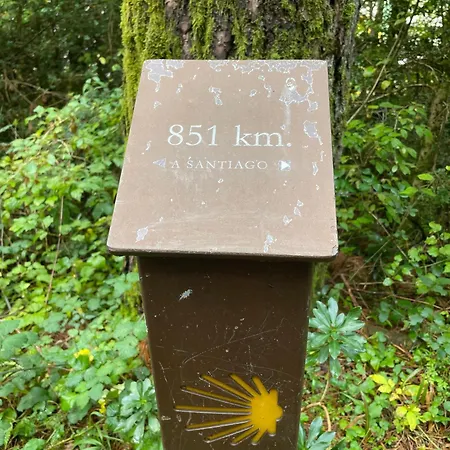 Apartment Calmfranc Atico Abuhardillado Con Vistas Al Rio Y La Montana Avistamiento De Ciervos En Pueblo Canfranc