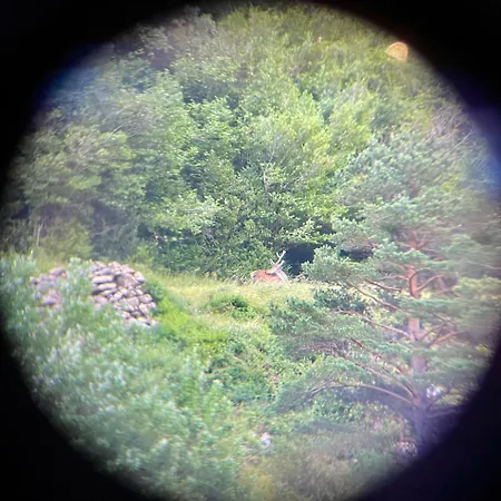 Apartment Calmfranc Atico Abuhardillado Con Vistas Al Rio Y La Montana Avistamiento De Ciervos En Pueblo