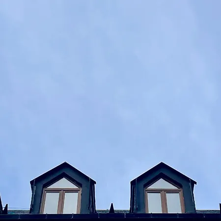 Calmfranc Atico Abuhardillado Con Vistas Al Rio Y La Montana Avistamiento De Ciervos En Pueblo * Canfranc