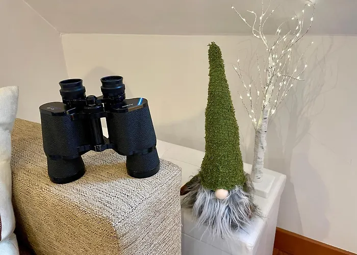 Calmfranc Atico Abuhardillado Con Vistas Al Rio Y La Montana Avistamiento De Ciervos En Pueblo Canfranc