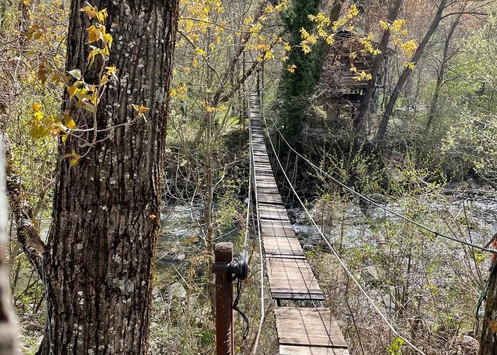 Calmfranc Atico Abuhardillado Con Vistas Al Rio Y La Montana Avistamiento De Ciervos En Pueblo Apartman Canfranc