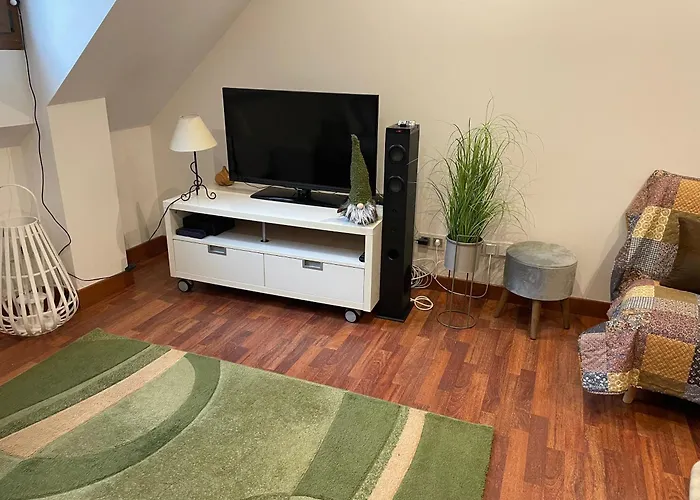 Calmfranc Atico Abuhardillado Con Vistas Al Rio Y La Montana Avistamiento De Ciervos En Pueblo Apartman *