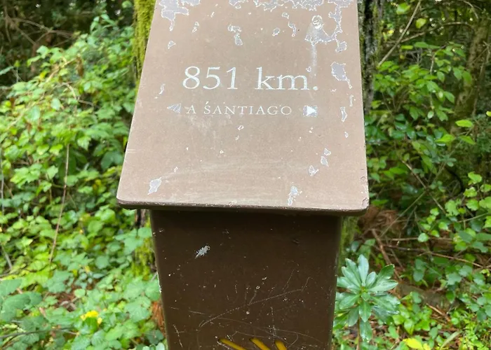 Apartman Calmfranc Atico Abuhardillado Con Vistas Al Rio Y La Montana Avistamiento De Ciervos En Pueblo Canfranc