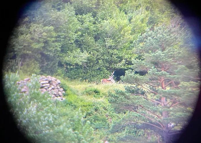 Apartman Calmfranc Atico Abuhardillado Con Vistas Al Rio Y La Montana Avistamiento De Ciervos En Pueblo