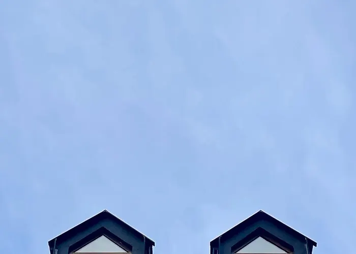 Calmfranc Atico Abuhardillado Con Vistas Al Rio Y La Montana Avistamiento De Ciervos En Pueblo * Canfranc